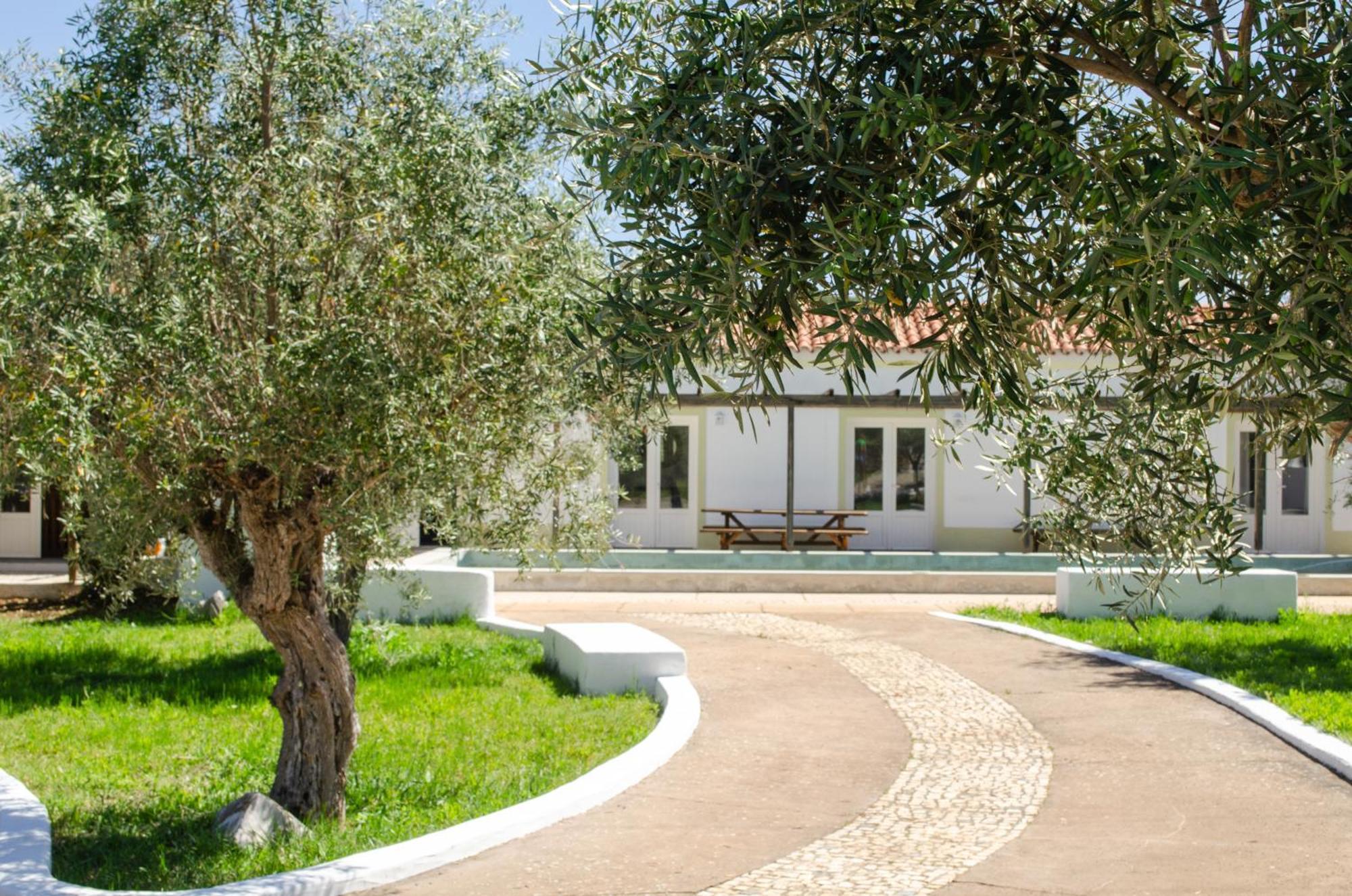 Monte Das Oliveiras - Casas De Campo إيستريموز المظهر الخارجي الصورة